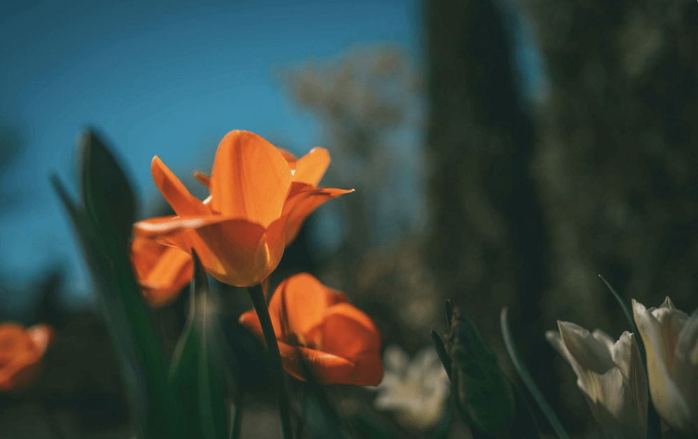 断线率大幅降低！新一代自适应过线机构拓宽应用边界