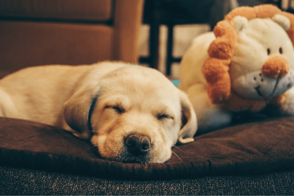 模板自动识别系统